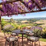 pergola view